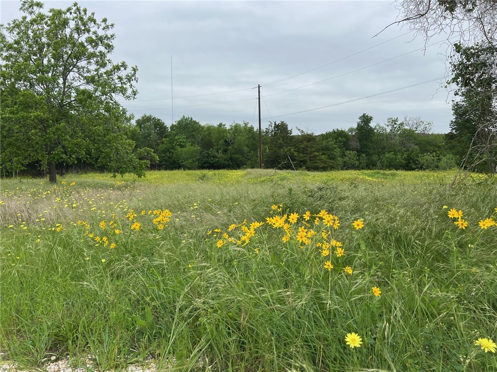 153 Suzanne Drive, Moody, Texas image 8