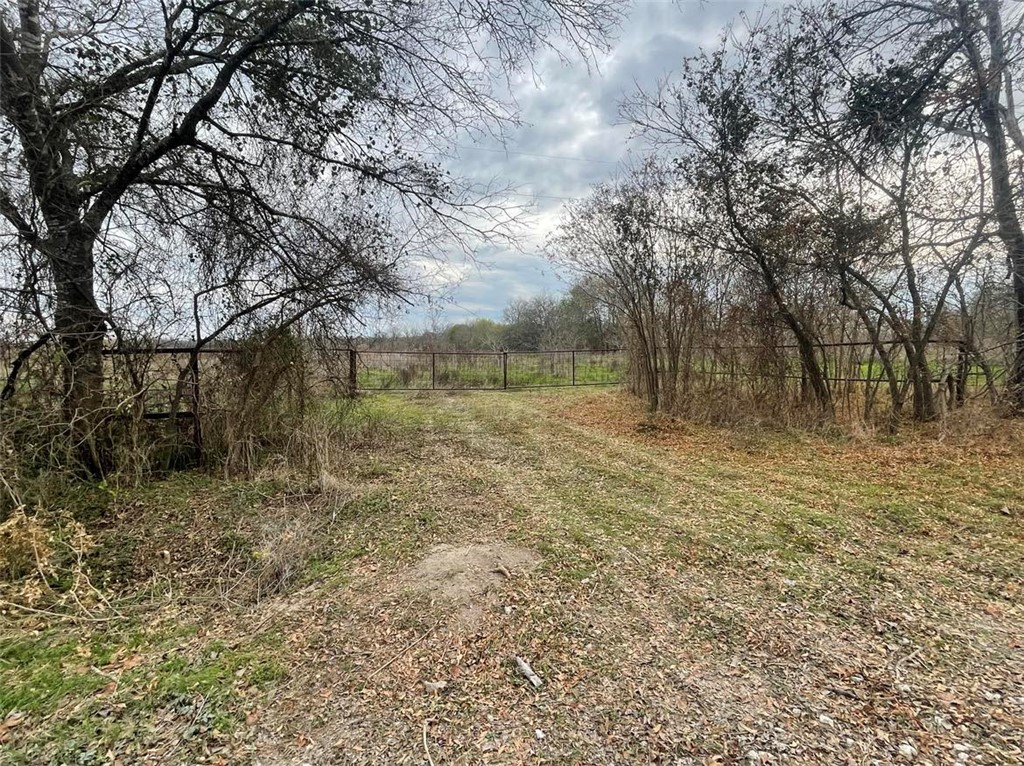 TBD Cr 243 Road, Kosse, Texas image 3