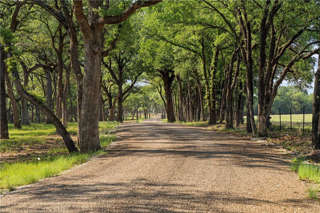 Lot 17 Rose Way Drive, Aquilla, Texas image 5