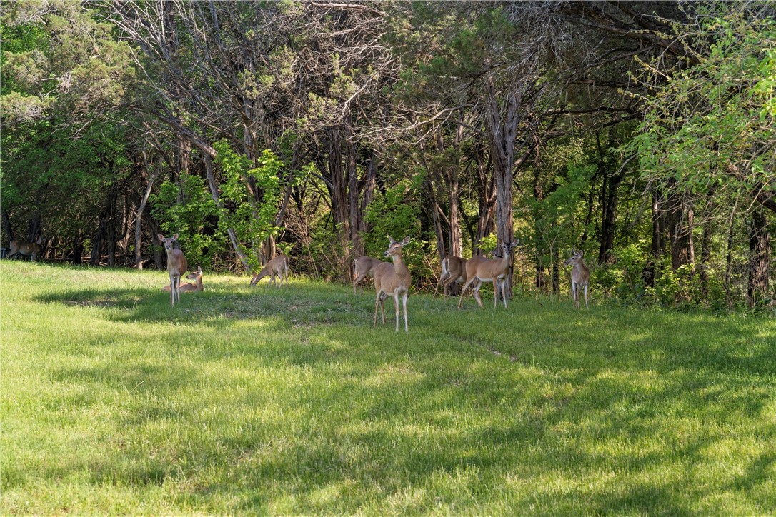 Lot 17 Rose Way Drive, Aquilla, Texas image 14