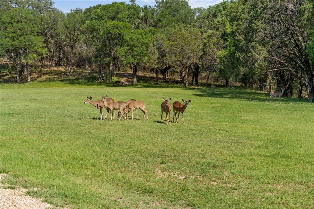 Lot 17 Rose Way Drive, Aquilla, Texas image 13