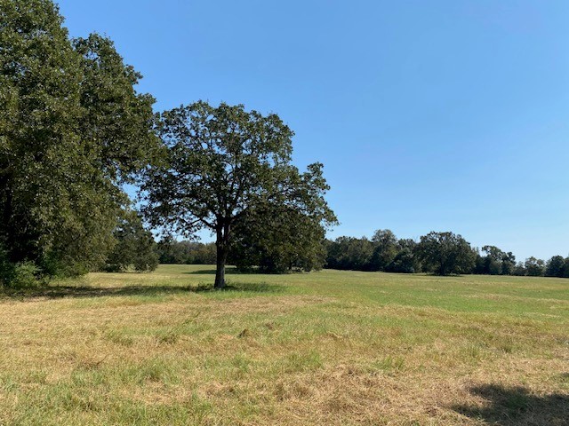 18971 N Us Hwy 287, Tennessee Colony, Texas image 4