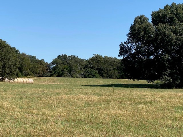 18971 N Us Hwy 287, Tennessee Colony, Texas image 2