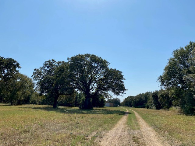 18971 N Us Hwy 287, Tennessee Colony, Texas image 33