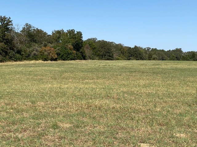 18971 N Us Hwy 287, Tennessee Colony, Texas image 8