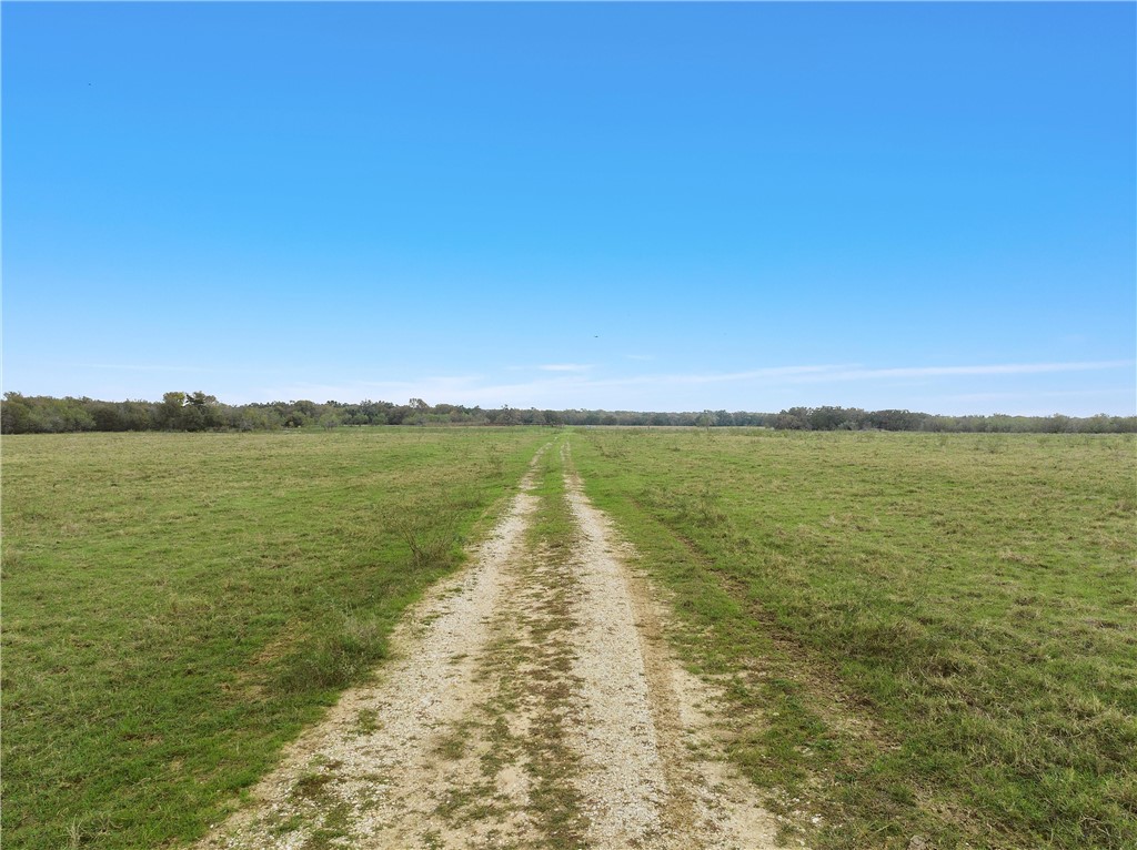 TBD Cr 265 Road, Kosse, Texas image 11