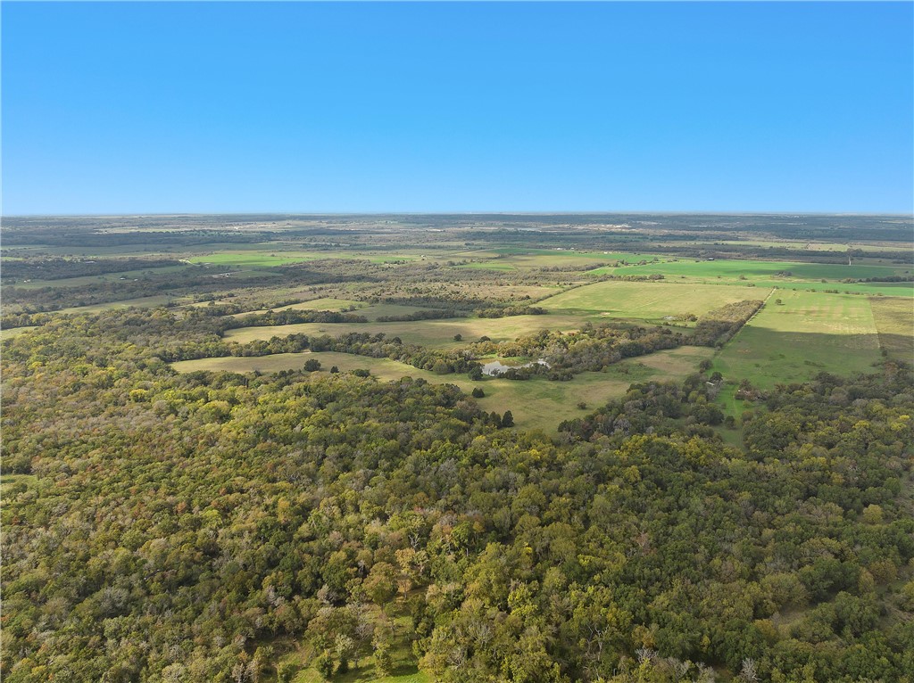 TBD Cr 265 Road, Kosse, Texas image 8