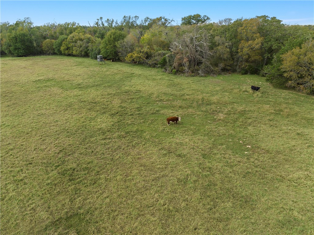 TBD Cr 265 Road, Kosse, Texas image 6