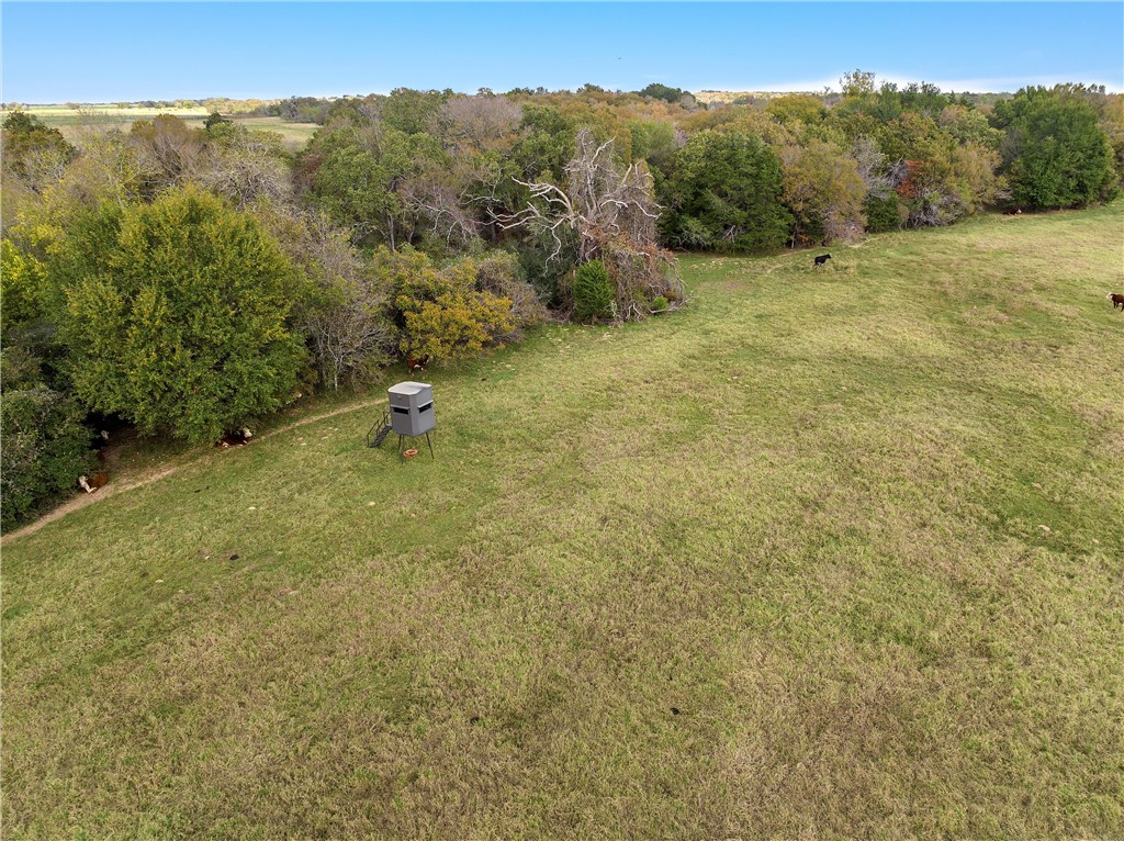 TBD Cr 265 Road, Kosse, Texas image 5