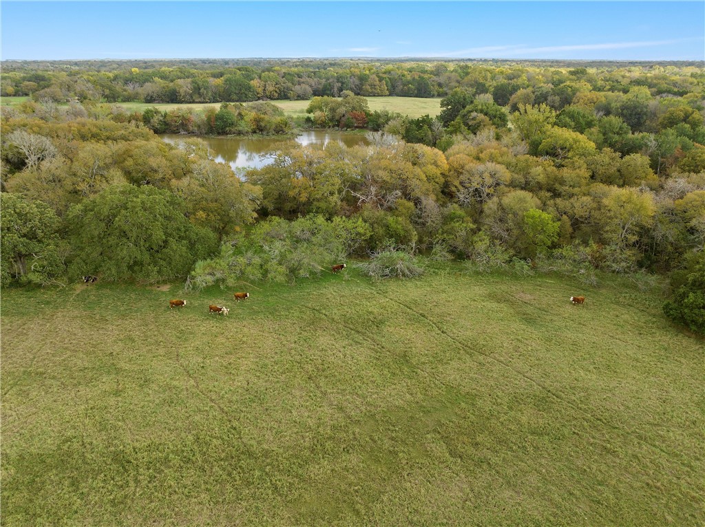 TBD Cr 265 Road, Kosse, Texas image 4