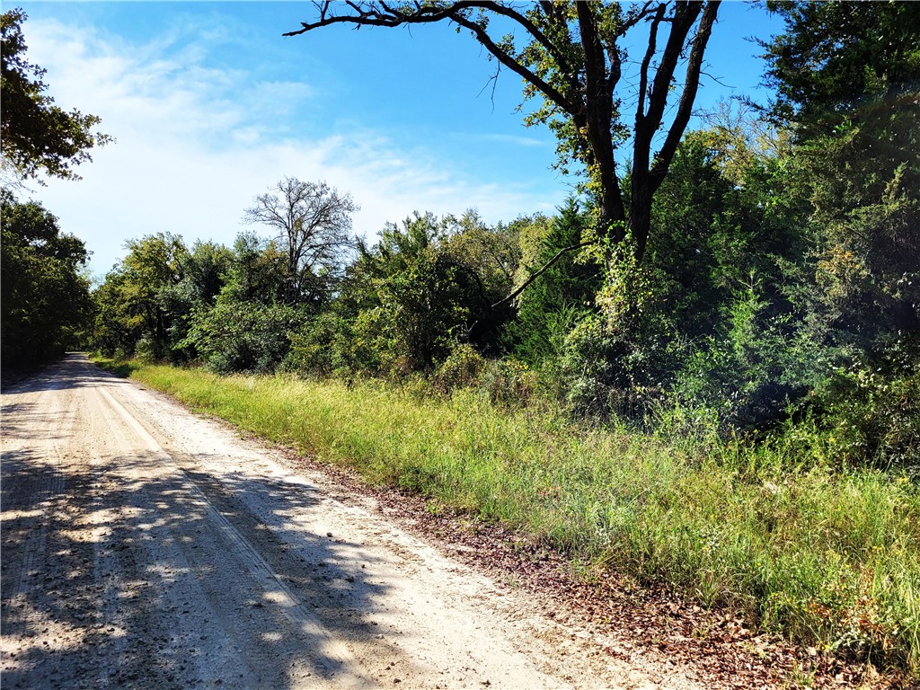 151 Acres Lcr 758, Thornton, Texas image 2