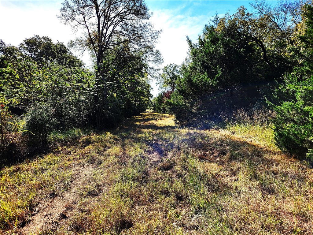 151 Acres Lcr 758, Thornton, Texas image 7