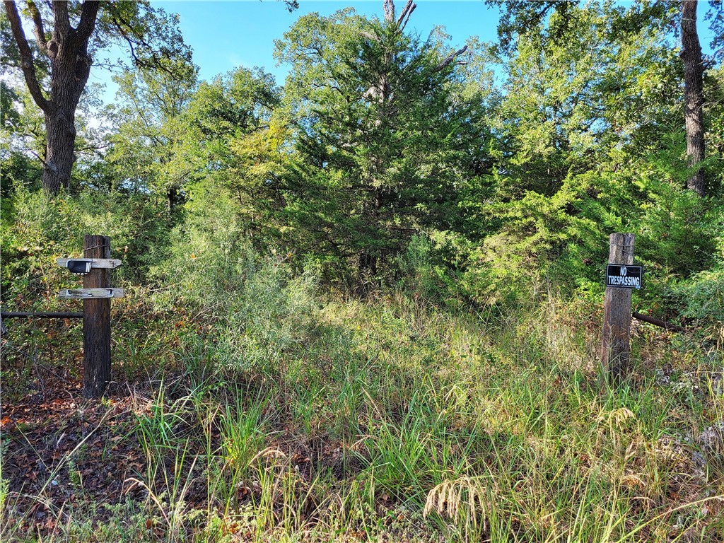 151 Acres Lcr 758, Thornton, Texas image 9