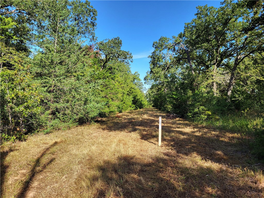 151 Acres Lcr 758, Thornton, Texas image 11