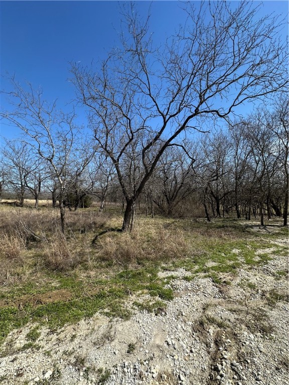 TBD Pr 226 Road, Whitney, Texas image 9