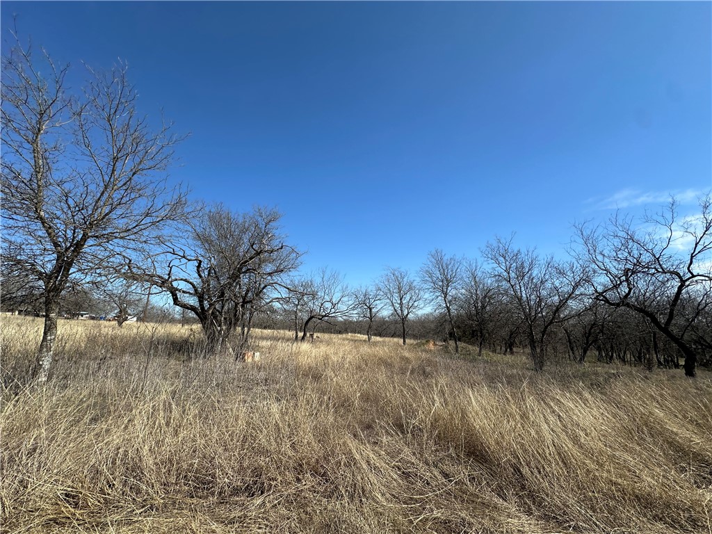 TBD Pr 226 Road, Whitney, Texas image 6