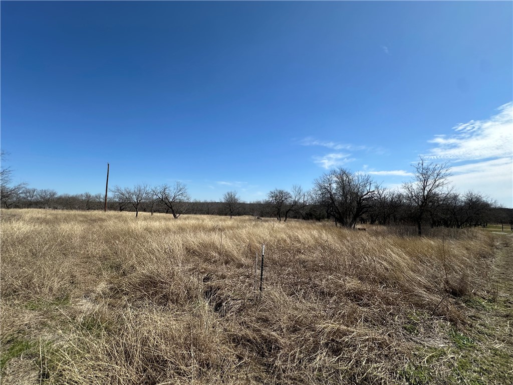 TBD Pr 226 Road, Whitney, Texas image 4