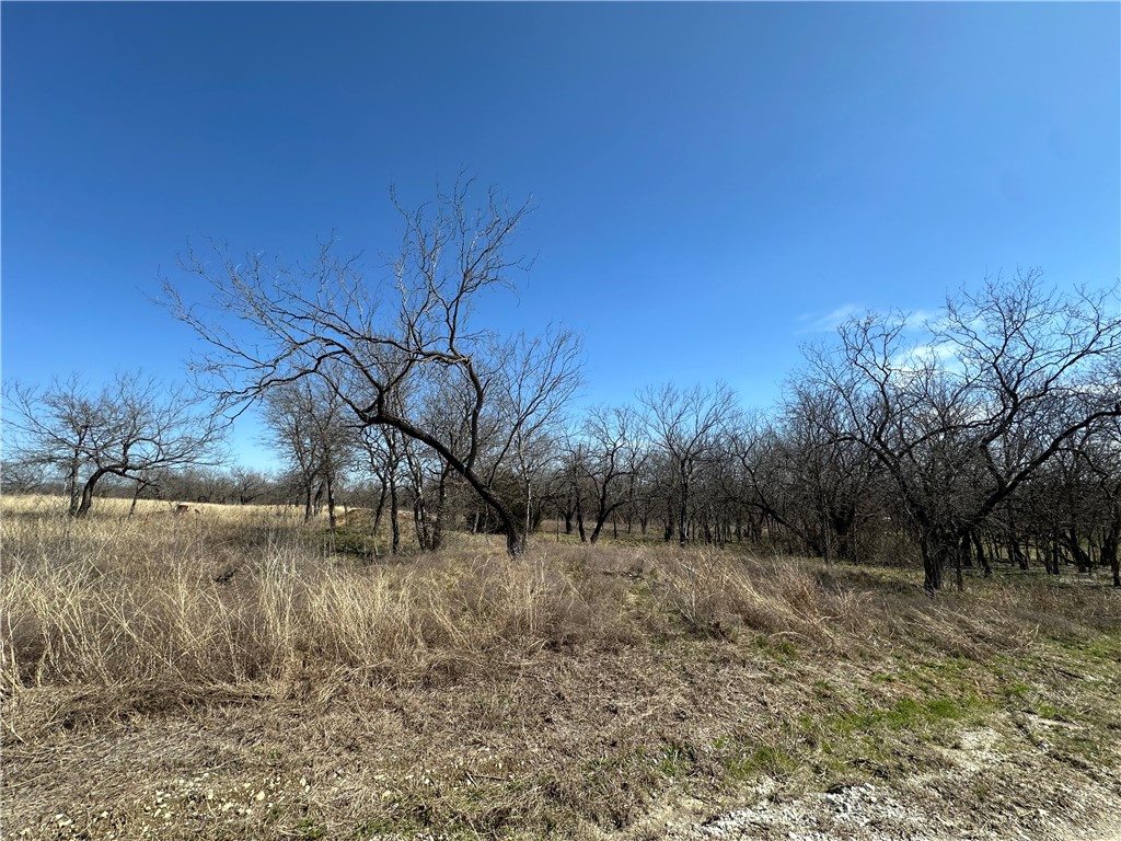 TBD Pr 226 Road, Whitney, Texas image 7