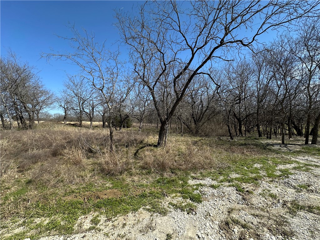 TBD Pr 226 Road, Whitney, Texas image 8