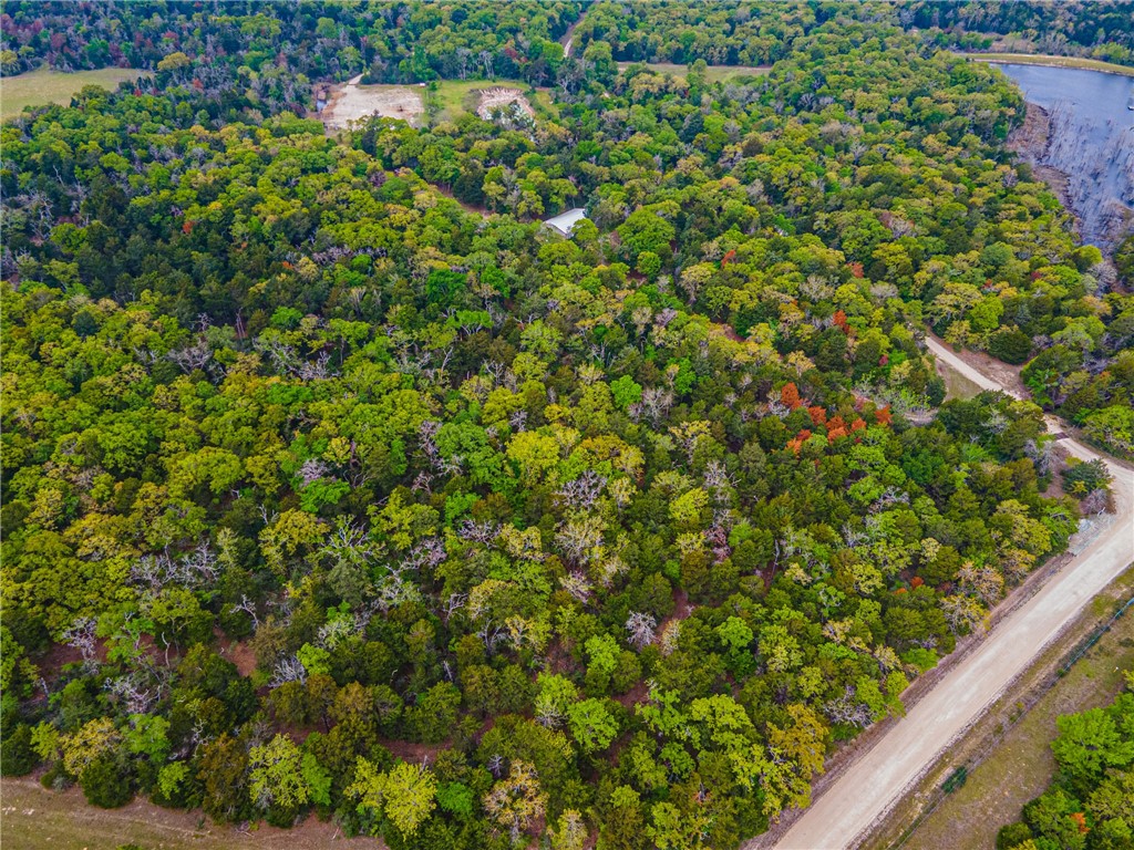 2870A Lcr 758, Thornton, Texas image 35