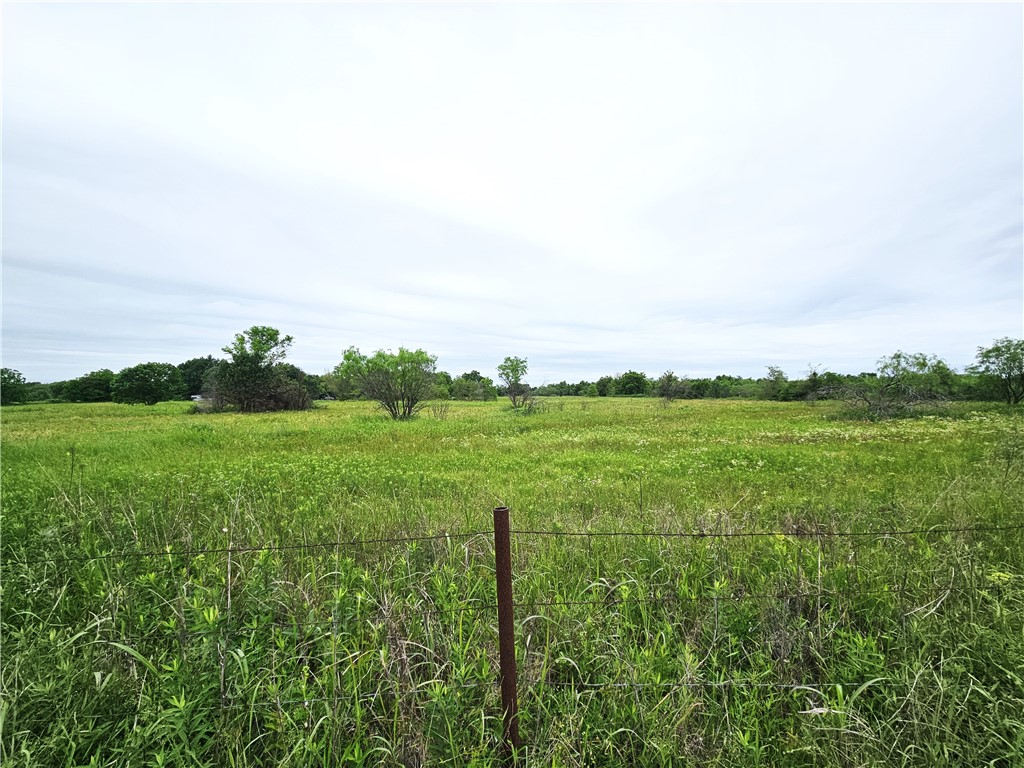 7.25 Acres Fm 147, Thornton, Texas image 3