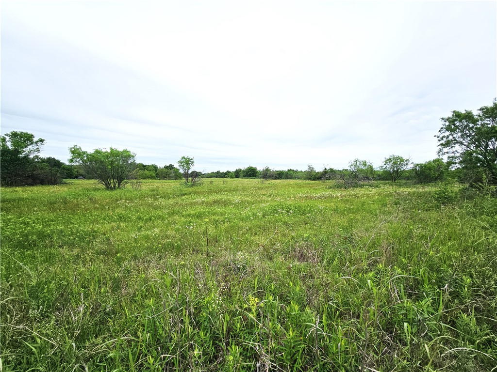 7.25 Acres Fm 147, Thornton, Texas image 4