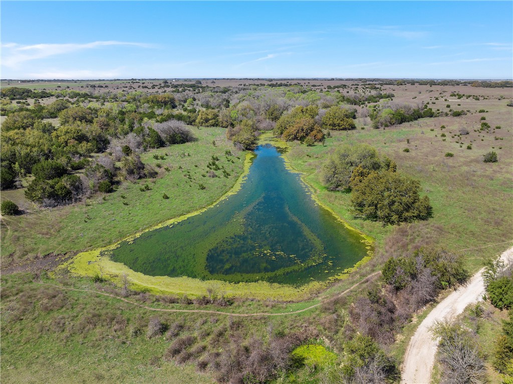 TBD Tract 2 126.39 Acres Dan Morgan Road, China Spring, Texas image 5