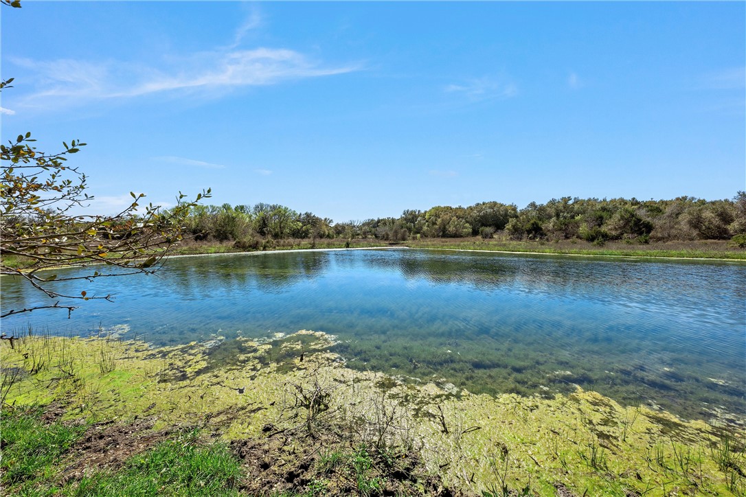 TBD Tract 2 126.39 Acres Dan Morgan Road, China Spring, Texas image 8