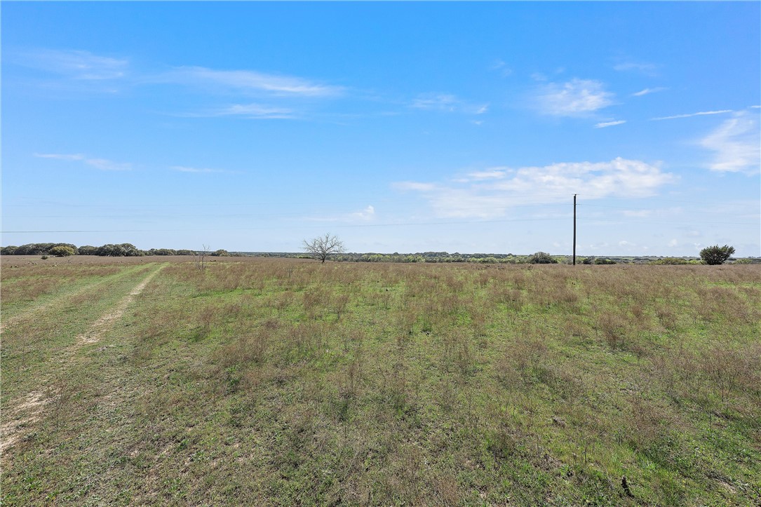 TBD Tract 2 126.39 Acres Dan Morgan Road, China Spring, Texas image 21