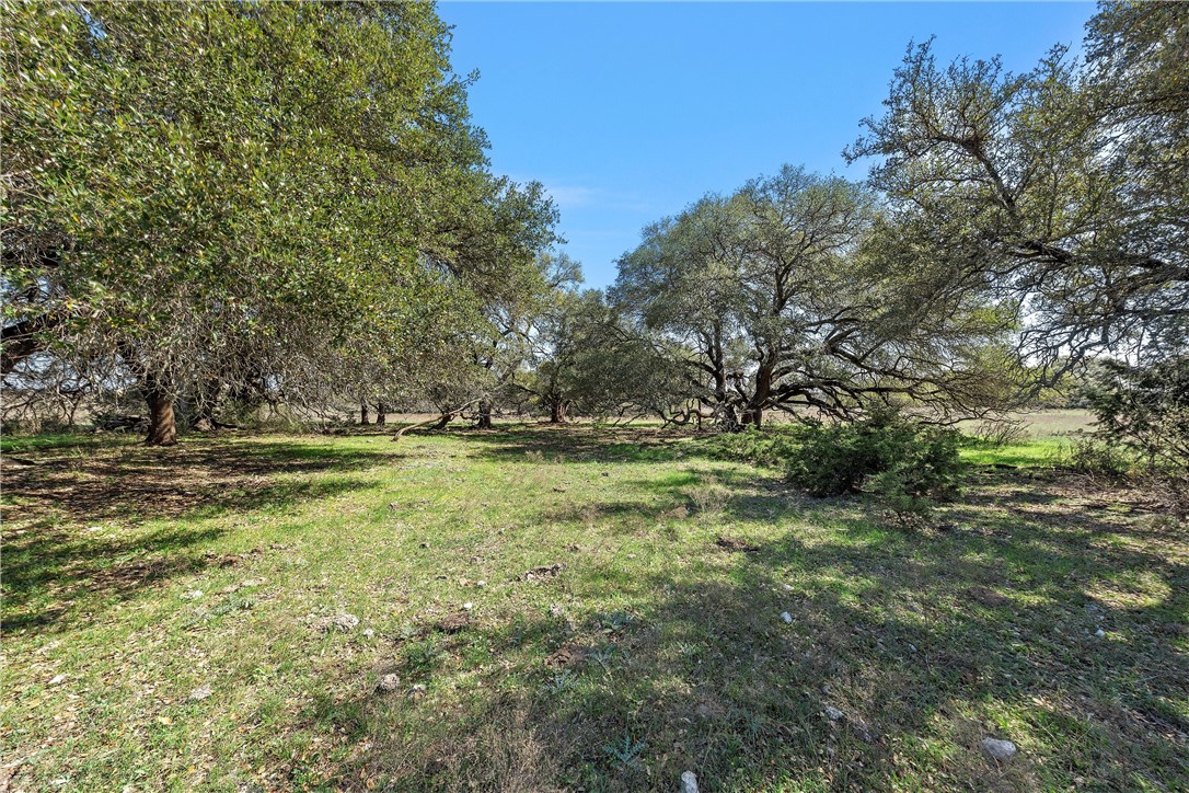 TBD Tract 2 126.39 Acres Dan Morgan Road, China Spring, Texas image 26