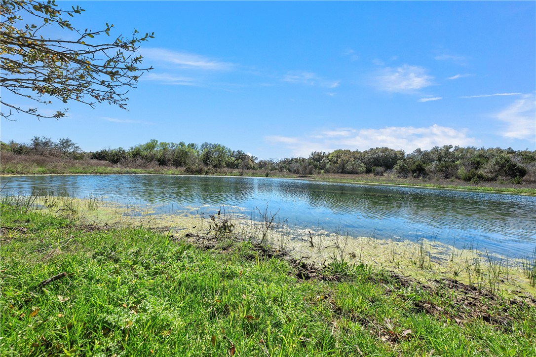 TBD Tract 2 126.39 Acres Dan Morgan Road, China Spring, Texas image 6