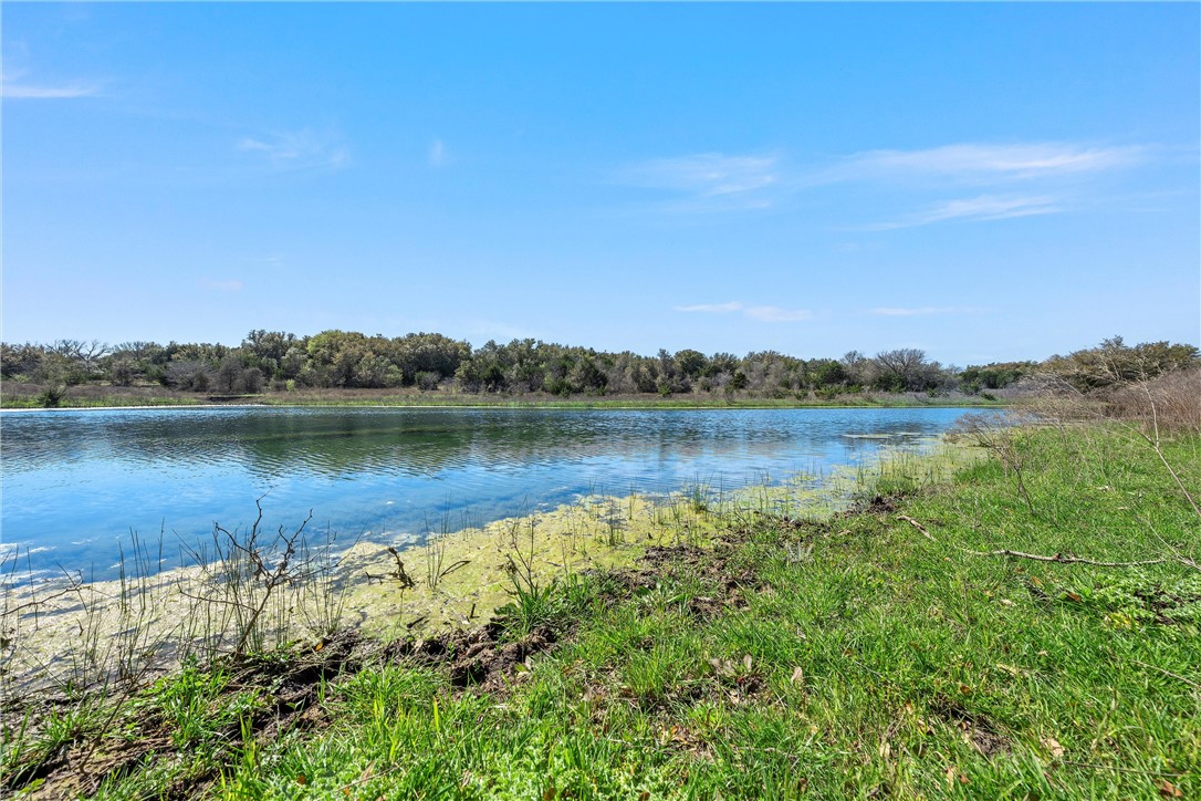 TBD Tract 2 126.39 Acres Dan Morgan Road, China Spring, Texas image 7