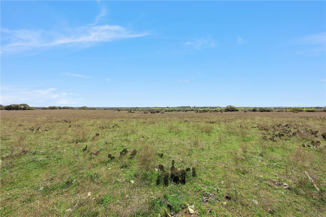 TBD Tract 2 126.39 Acres Dan Morgan Road, China Spring, Texas image 23