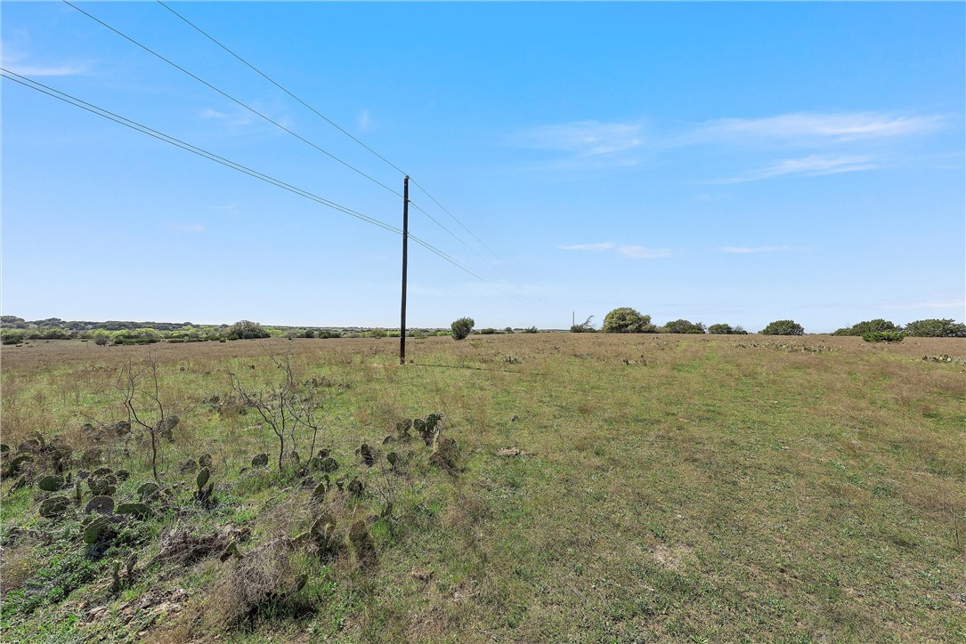 TBD Tract 2 126.39 Acres Dan Morgan Road, China Spring, Texas image 22