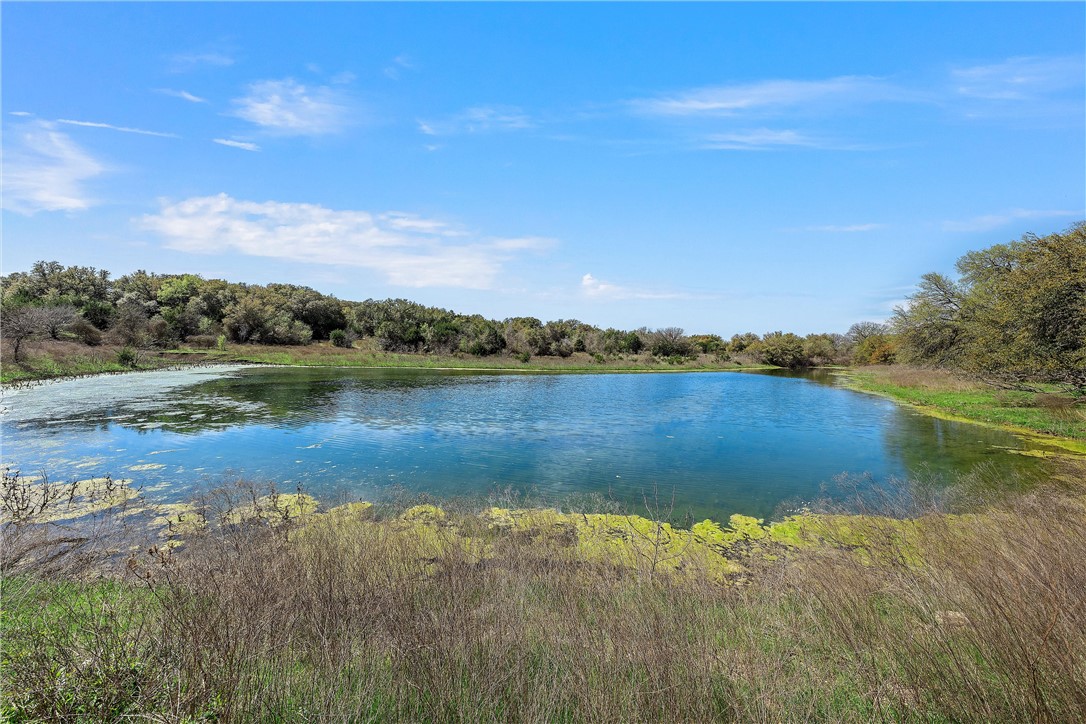 TBD Tract 2 126.39 Acres Dan Morgan Road, China Spring, Texas image 9