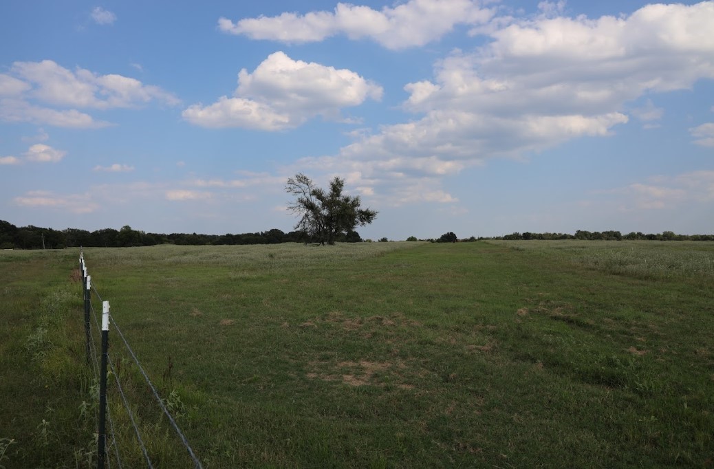 141 Hwy 14, Wortham, Texas image 2