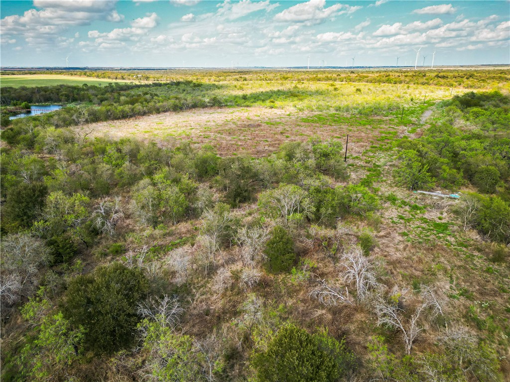 TBT County Line, Axtell, Texas image 4