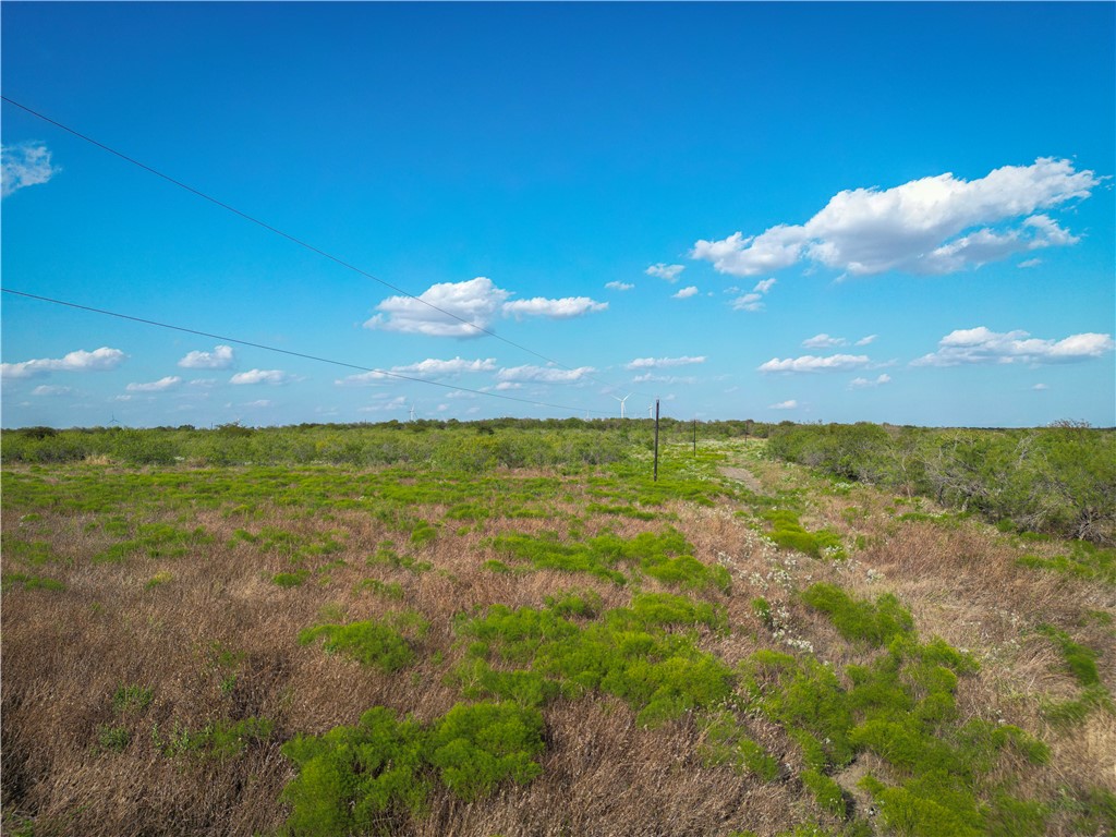 TBT County Line, Axtell, Texas image 10