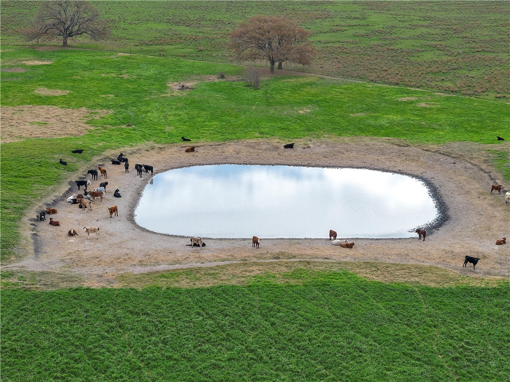 TBD Cr 129 Road, Marlin, Texas image 8