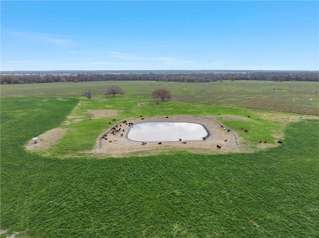 TBD Cr 129 Road, Marlin, Texas image 7