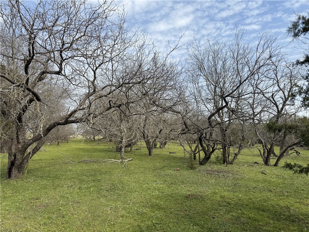 16459 China Spring Road, China Spring, Texas image 3