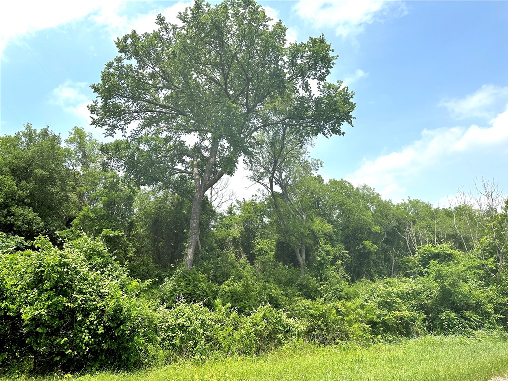 Tract 22 Remington Circle, Moody, Texas image 6