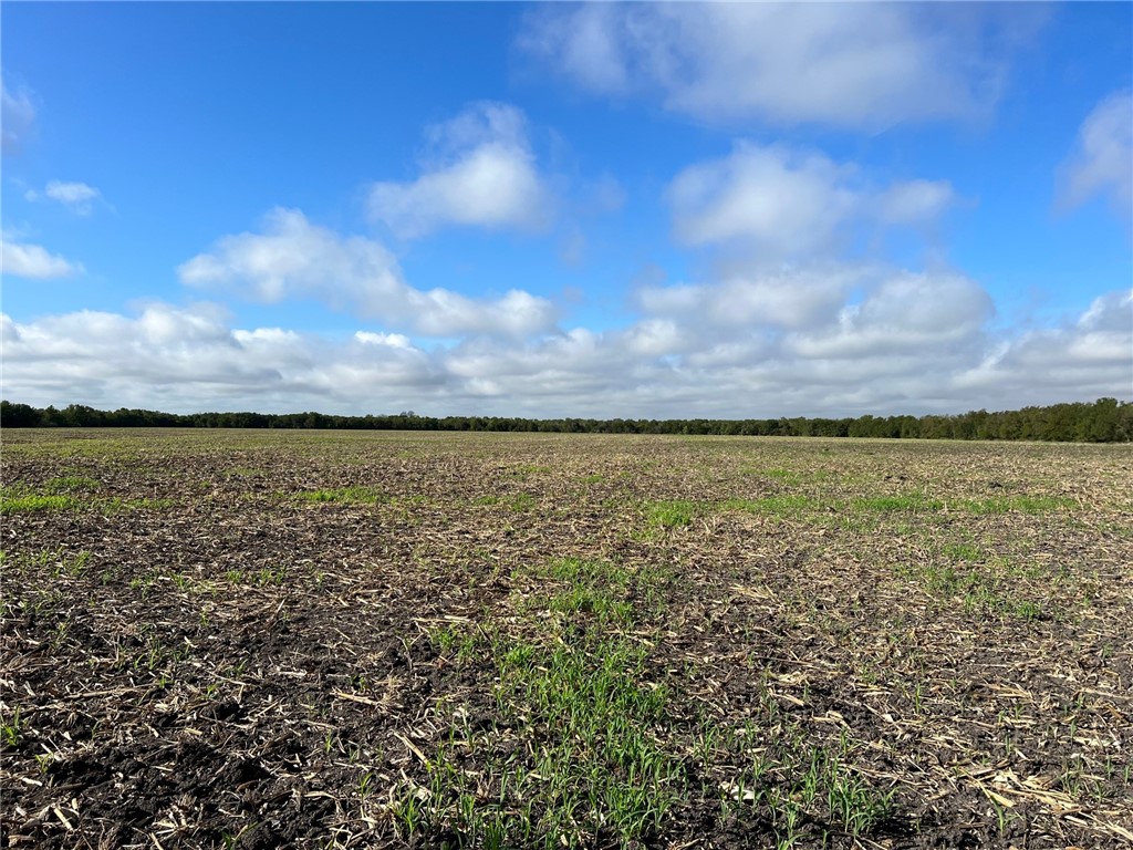 TBD Cr 117 Road, Rogers, Texas image 6