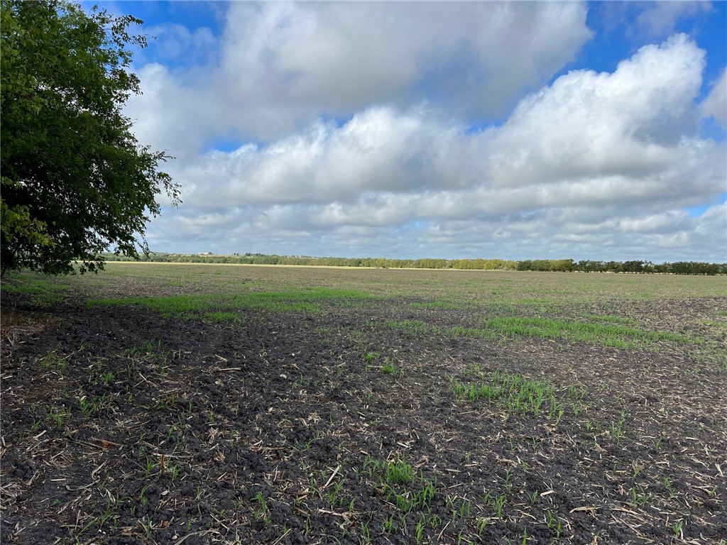 TBD Cr 117 Road, Rogers, Texas image 21