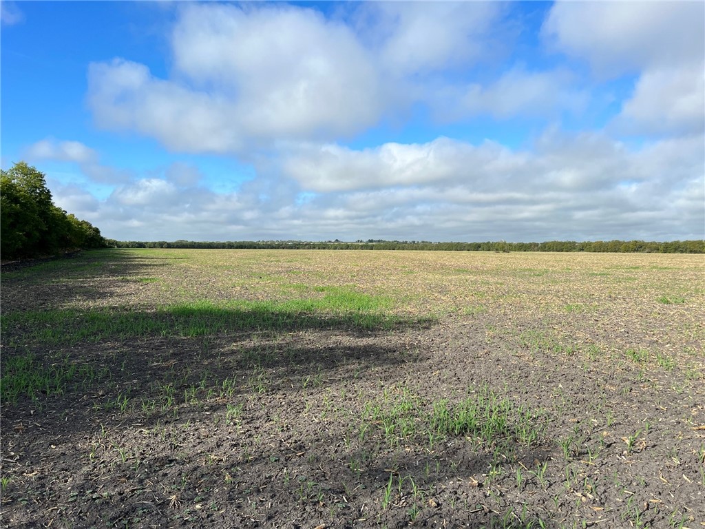 TBD Cr 117 Road, Rogers, Texas image 3