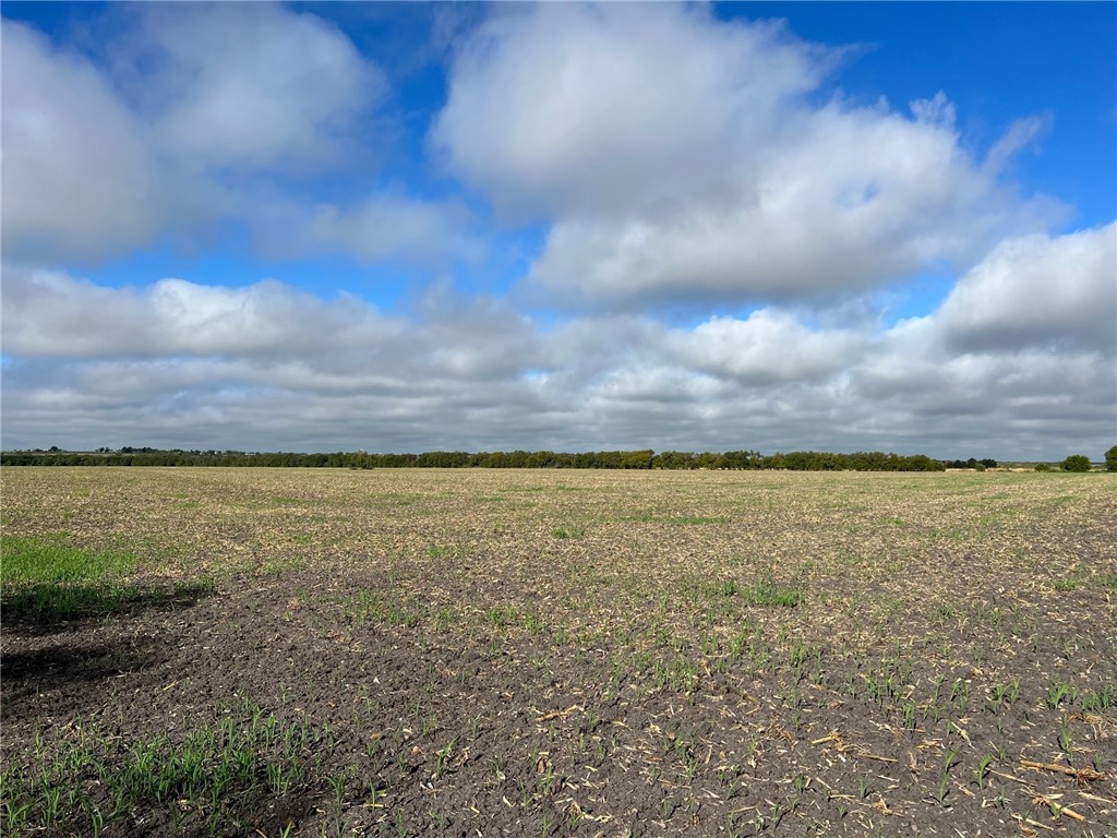 TBD Cr 117 Road, Rogers, Texas image 4