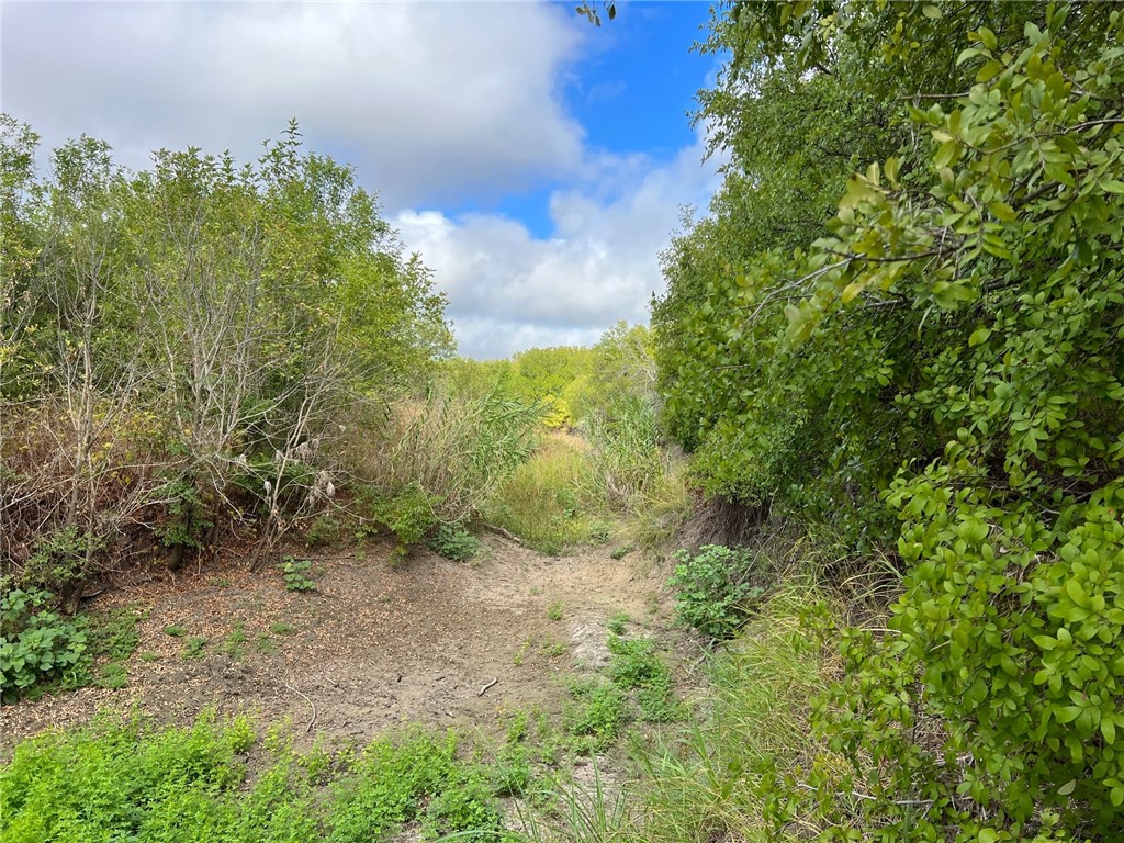 TBD Cr 117 Road, Rogers, Texas image 16