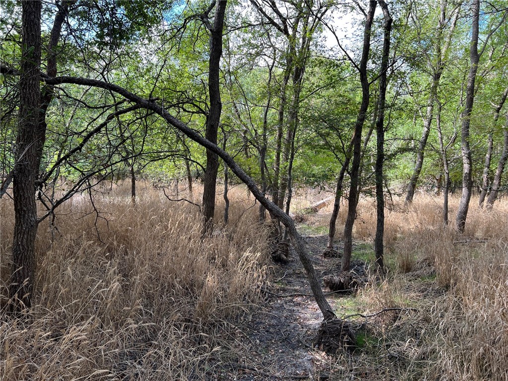 TBD Cr 117 Road, Rogers, Texas image 12