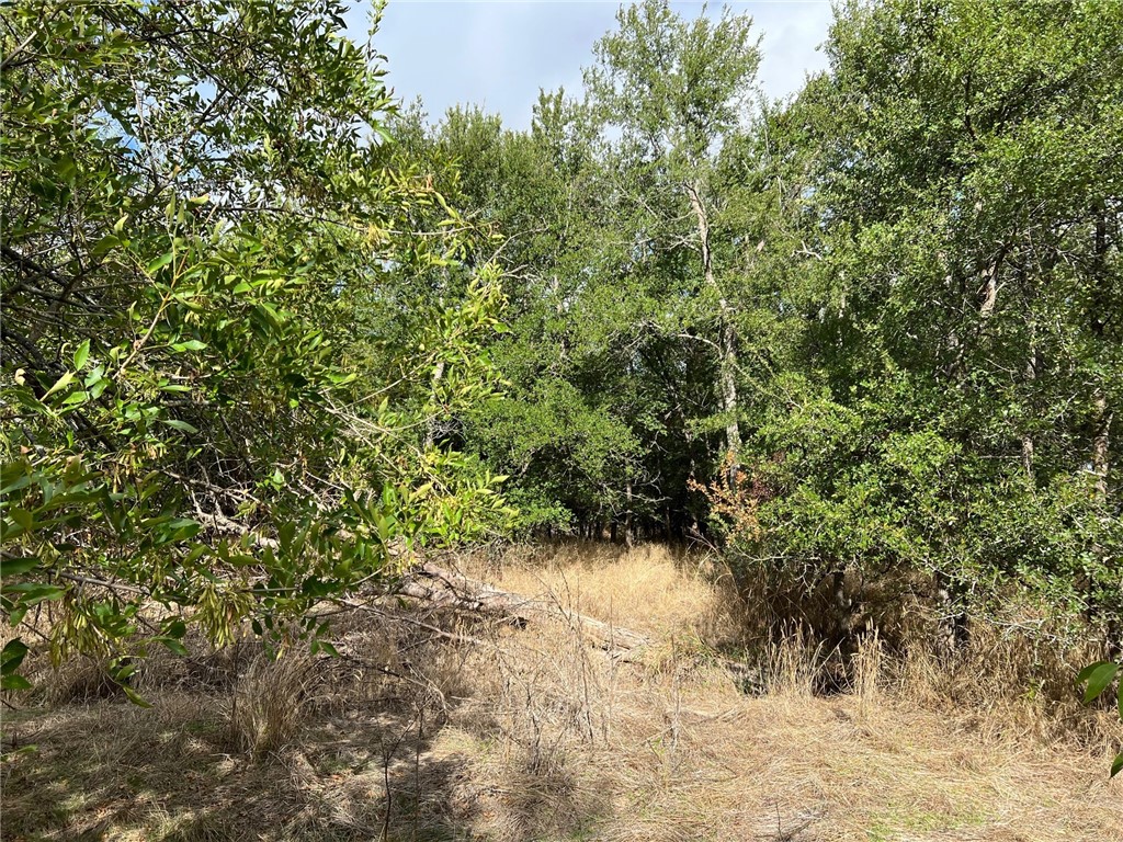 TBD Cr 117 Road, Rogers, Texas image 18