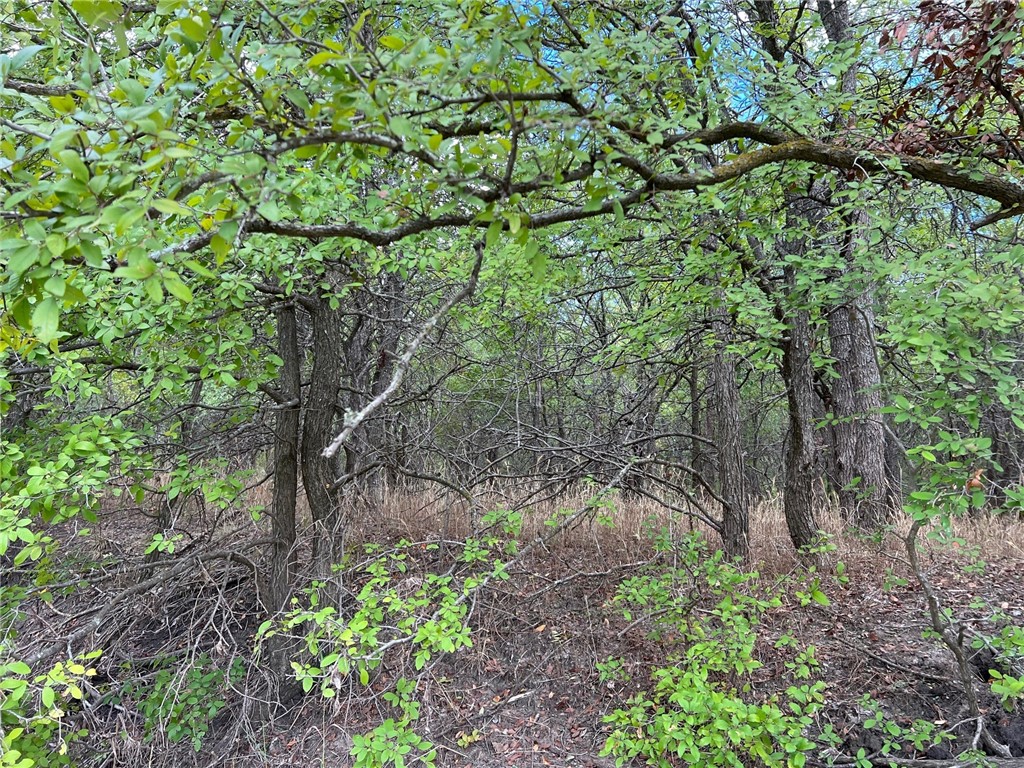 TBD Cr 117 Road, Rogers, Texas image 17